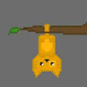 Meet your Posher, Rae